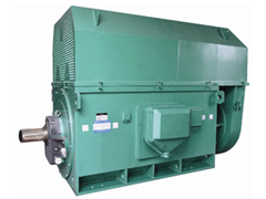 红塔Y系列6KV高压电机
